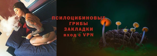 бошки Нефтекумск