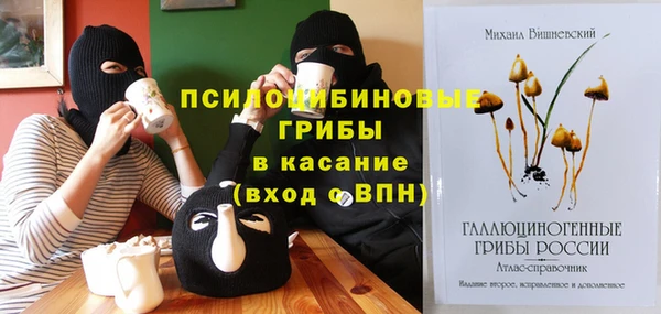 индика Нефтегорск