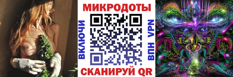 Псилоцибиновые грибы Cubensis  Старая Русса 